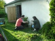 Formation Géobiologie de l'habitat