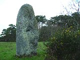 Un sites dédié à la fécondité