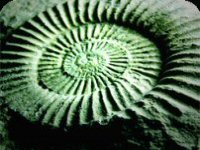 Les rayonnements électromagnétiques